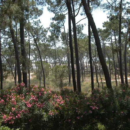 Pine Sun Park - Durcosa Apartment